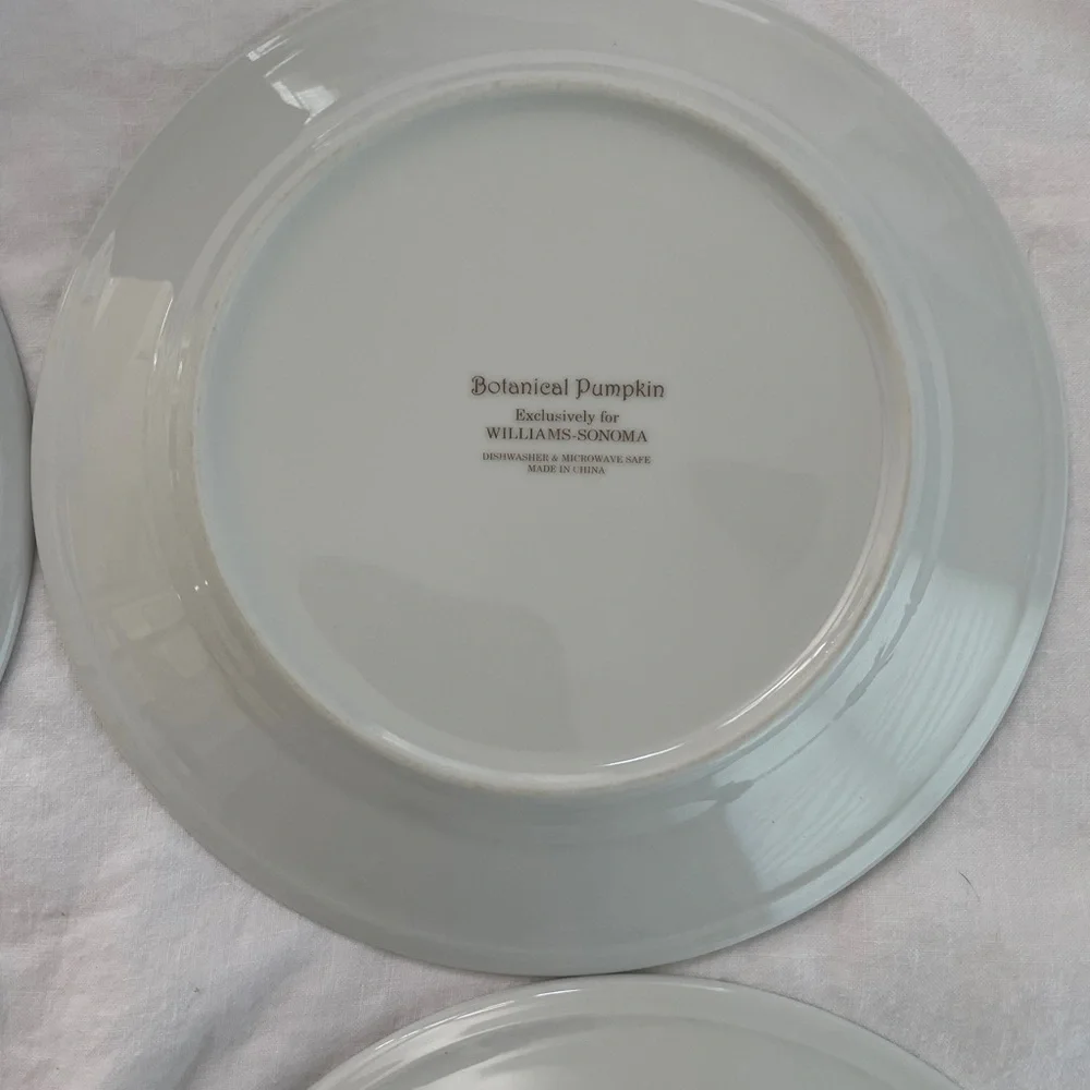 Williams Sonoma Botanical Pumpkin Salad Dessert Plates 8.5” diameter (Set of 4)